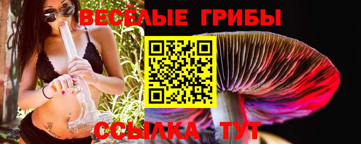 Псилоцибиновые грибы мухоморы  Вход с VPN  Богданович 